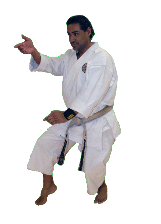 Sensei-Paul-02.gif