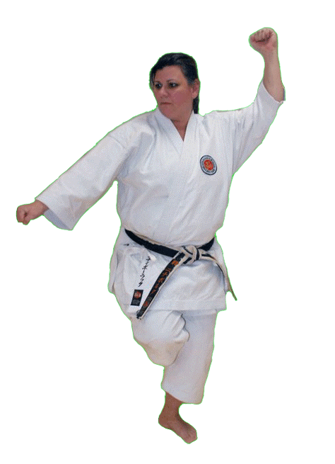 Sensei-Terry-02-cropped.gif